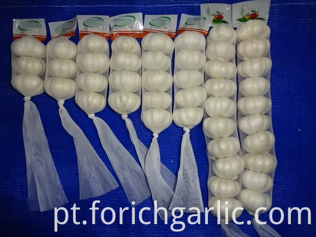 Fresh Pure White Garlic 2019